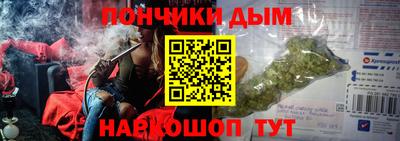 СК Гатчина