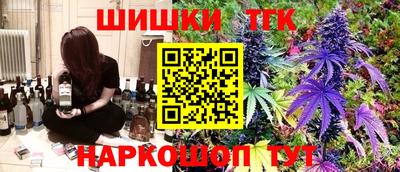 СК Гатчина
